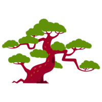 Pine tree