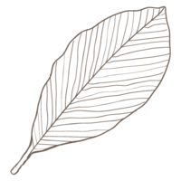 Leaf material