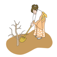 New adult (woman) planting a commemorative tree