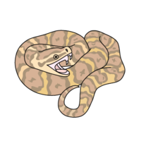 蝮蛇(毒蛇)