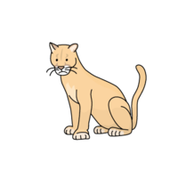Puma (cougar)
