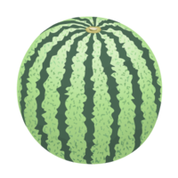 Watermelon (watermelon)