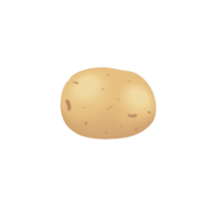 potato (potato)