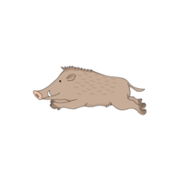 亥 -2 (wild boar, wild boar)