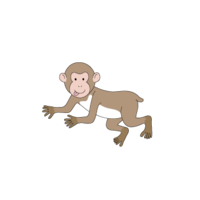 申-1(猴子、猴子、猴子)