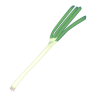 Long onion (long onion, long onion)