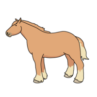 Agricultural horse