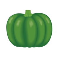 Pumpkin (pumpkin, squash)