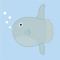 Relaxing sunfish