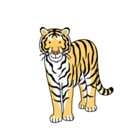 Tiger (tiger, tiger)
