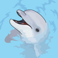 Bottlenose dolphin (face)