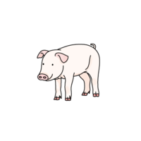 Pig (pig, pig)