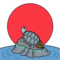 First sunrise and turtle