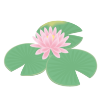 Water lily (June)