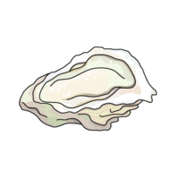 牡蛎(牡蛎)