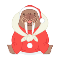 Santa of walrus