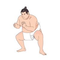 A sumo wrestler