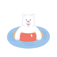用浮袋玩的北极熊