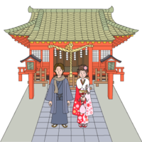 Adults of the first visit