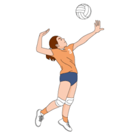 Volleyball