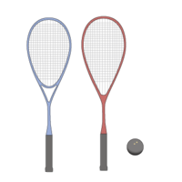 Squash 2 (racket and ball)