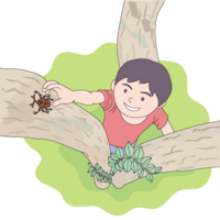 木に登って虫を捕る少年