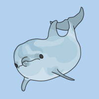 Bottlenose dolphin