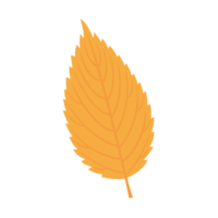 欅(ケヤキ)の葉