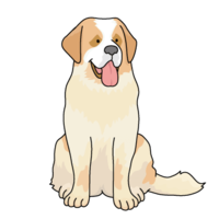 St. Bernard