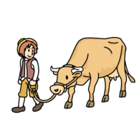 Cow and Jack