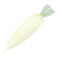 ダイコン(だいこん、大根)