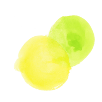 黄色と黄緑の重なり