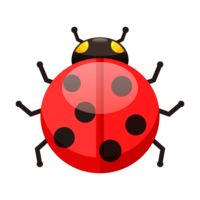Ladybug (ladybug) material