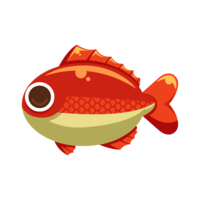 海の生き物シリーズお魚編！鯛(タイ)素材