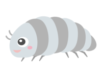 Cute pill bug