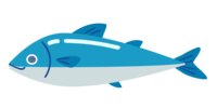 青魚