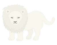 White lion