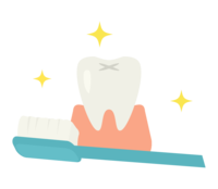 歯の手入れ-歯磨き