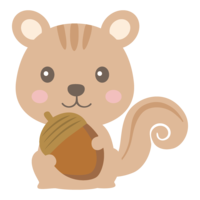 Cute squirrel holding an acorn