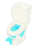 Toilet water leak trouble