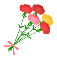 康乃馨花束