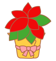 Cute poinsettia