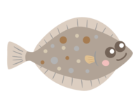 Cute flatfish