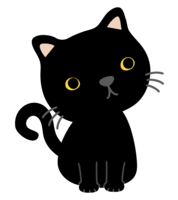 かわいい黒猫
