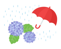 雨と紫陽花(あじさい)