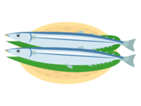 Pacific saury (autumn sword fish)