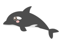 虎鲸