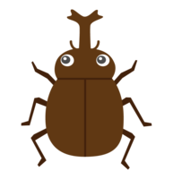 Cute beetle