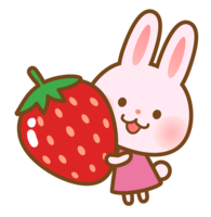 大草莓和兔子