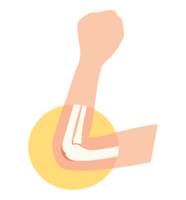 肘関節のイメージ